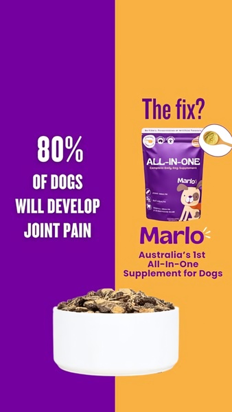 A vertical 9:16 ad layout using a bold purple and orange color split to contrast a health problem with a clear product solution for dogs.